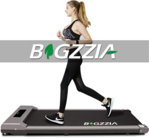 BIGZZIA treadmill